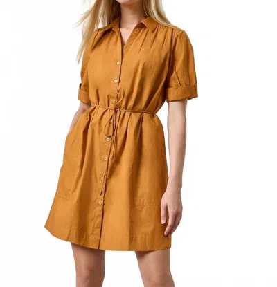 Lilla P Shirred Sleeve Mini Shirt Dress In Marmalade In Brown