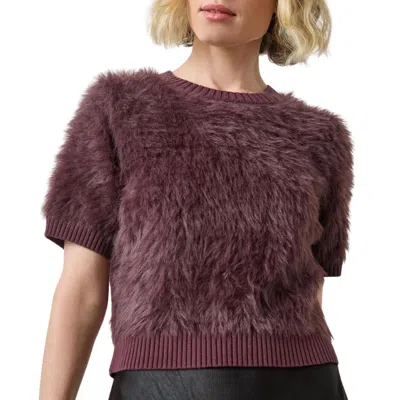 Lilla P Short Sleeve Brushed Crew Sweater In Rasin In Burgundy