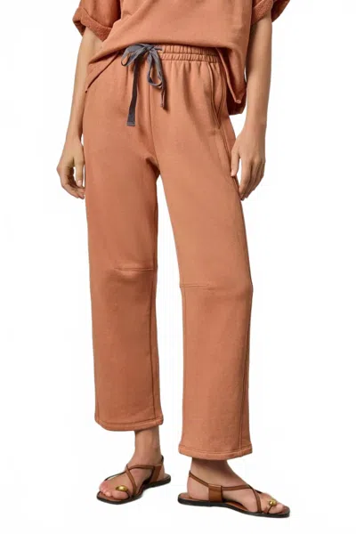 Lilla P Side Panel Terry Pant In Carab In Brown