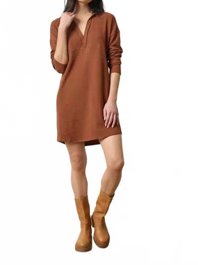 Lilla P Split Neck Collared Mini Dress In Praline In Brown
