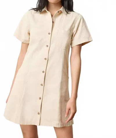Lilla P Twill Paneled Shirt Dress In Eggshell In Neutral