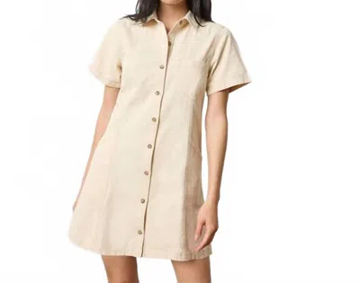 Lilla P Twill Paneled Shirt Dress In Eggshell In Multi