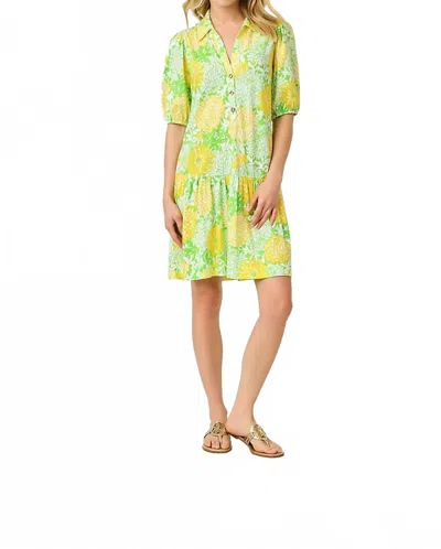 Lilly Pulitzer Bingley Dress In Crocodile Green Mumbo Jumbo