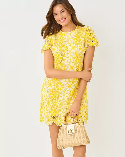 Lilly Pulitzer Cortney Crochet Shift Dress In Gold