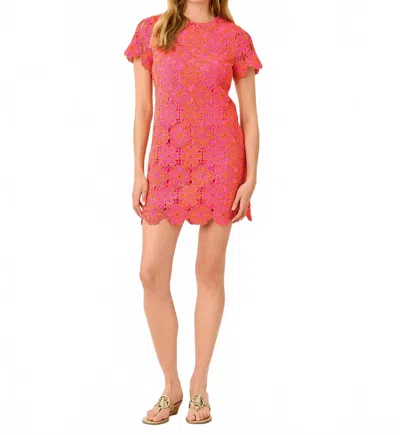 Lilly Pulitzer Cortney Crochet Shift Dress In Cherry Blossom Pink X Sunset Orange In Multi