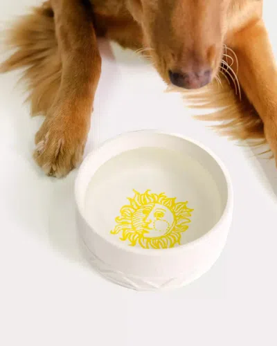 Lilly Pulitzer Pet Bowl In Multi
