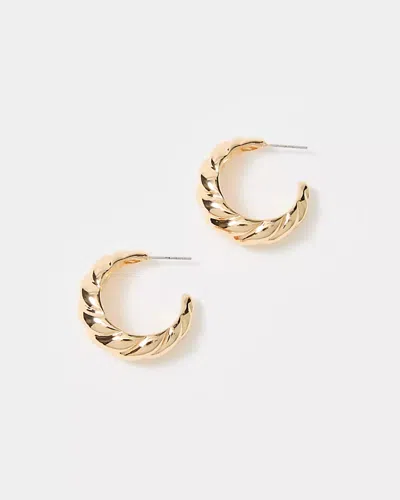 Lilly Pulitzer Seacrets Hoop Earrings In Gold