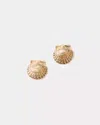 Lilly Pulitzer Shell Stud Earrings In Gold