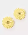 Lilly Pulitzer Slice Of Sunshine Earrings In Finch Yellow