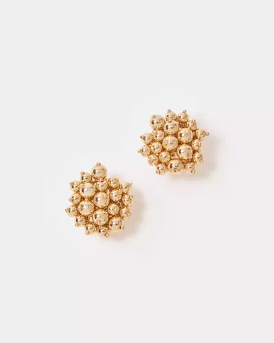 Lilly Pulitzer Tidepool Treasures Earrings In Gold