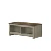 Lilola Home Nyla 43"w Gray Oak Coffee Table With Open Shelves Front And Back