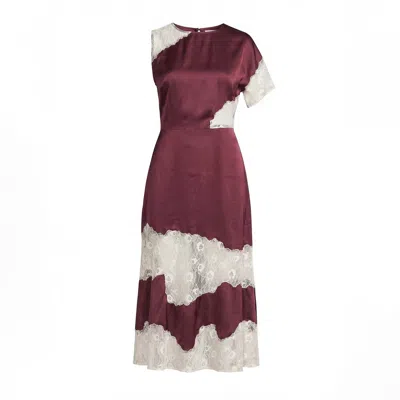 Lily And Lionel Women's Red Selma Lace Insert Midi Dress In Burgundy And Ecru In Multi