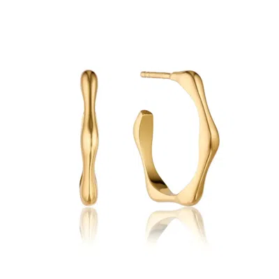 Lily & Roo Gold Bamboo Hoop Earrings