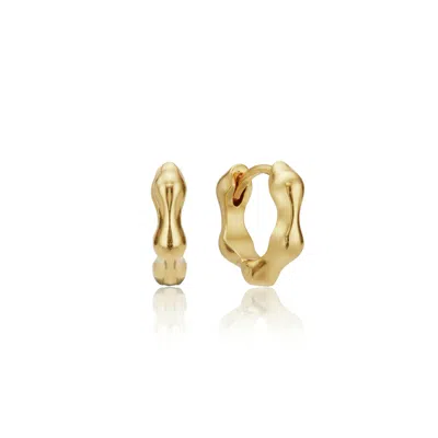 Lily & Roo Gold Molten Huggie Hoop Earrings