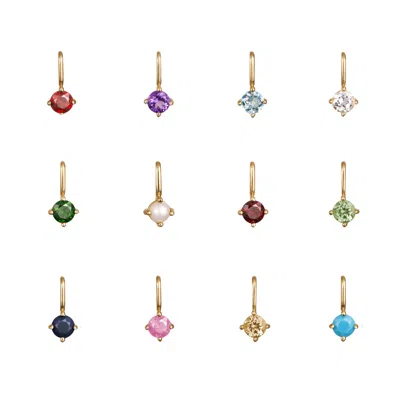Lily & Roo Gold Small Individual Birthstone Charm
