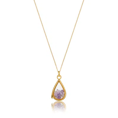 Lily & Roo Women's Gold Glass Amethyst Teardrop Locket