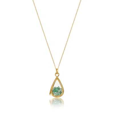 Lily & Roo Women's Gold Glass Aventurine Teardrop Locket