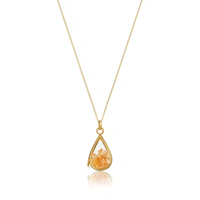Lily & Roo Women's Gold Glass Carnelian Teardrop Locket