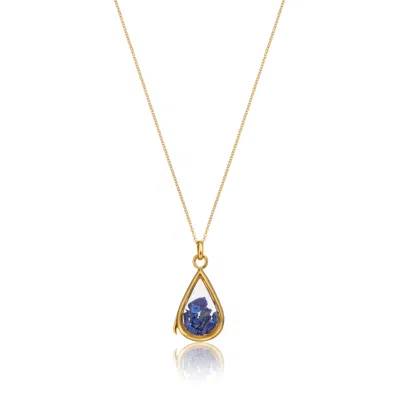 Lily & Roo Women's Gold Glass Lapis Teardrop Locket
