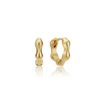 Lily & Roo Women's Gold Molten Huggie Hoop Earrings