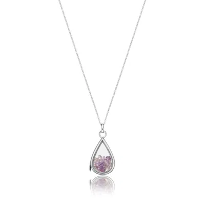 Lily & Roo Women's Sterling Silver Amethyst Birthstone Teardrop Locket