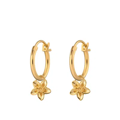 Lily Charmed Women's Gold Forget Me Not Flower Charm Hoop Earrings
