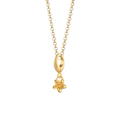 Lily Charmed Women's Gold Plated Forget Me Not Flower Charm Necklace
