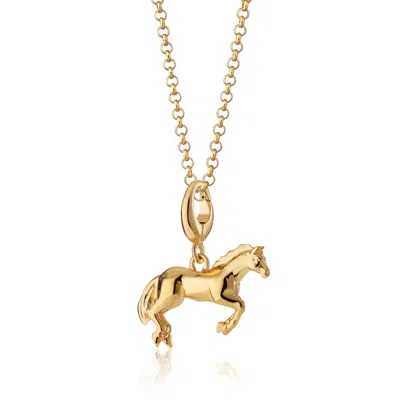 Lily Charmed Women's Gold Plated Horse Charm Necklace