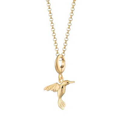 Lily Charmed Women's Gold Plated Hummingbird Charm Necklace