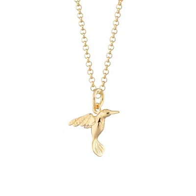 Lily Charmed Women's Gold Plated Hummingbird Necklace In Gray