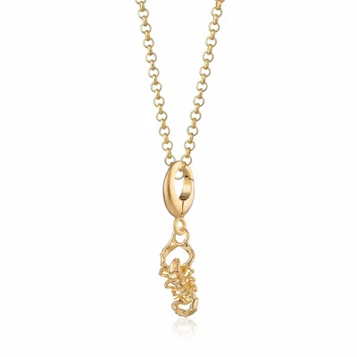 Lily Charmed Women's Gold Plated Scorpion Charm Necklace