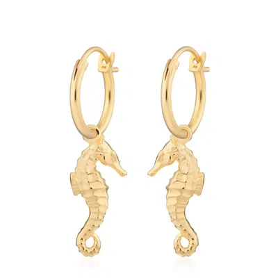 Lily Charmed Women's Gold Plated Seahorse Charm Hoop Earrings