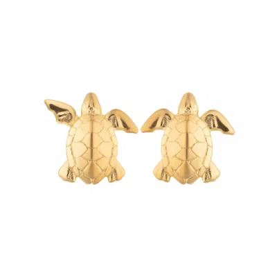 Lily Charmed Women's Gold Plated Turtle Stud Earrings
