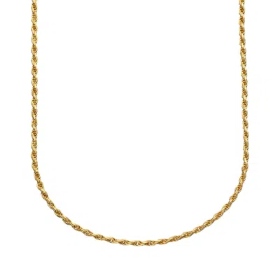 Lily Charmed Women's Gold Plated Twisted Rope Chain Necklace