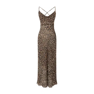 Lily Phellera Women's Ora Midi Dress In Leopard Bite In Brown