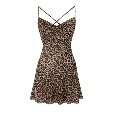 Lily Phellera Women's Ora Mini Dress In Leopard Bite