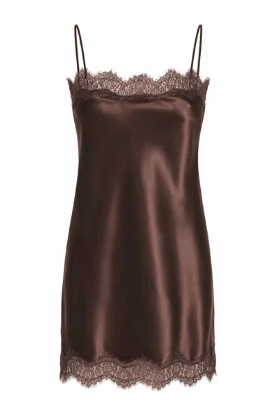 Lily Rou Women's Brown Chocolate Lace Trim Mini Silk Slip Dress