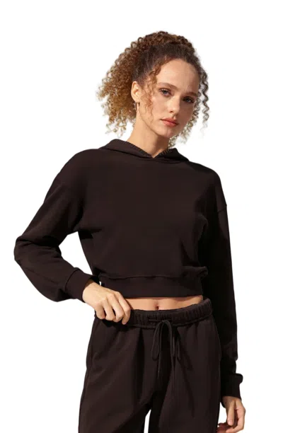 Lilysilk Women's Seamflow Poise Pullover In Brown