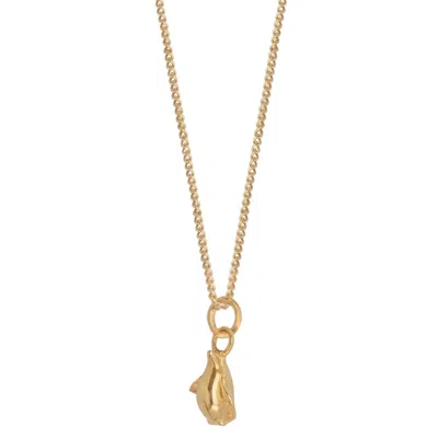 Lime Tree Design Women's Tiny Penguin Pendant Necklace Gold Vermeil