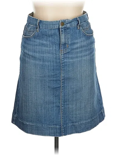 Pre-owned Limited Edition Denim Skirt In Blue