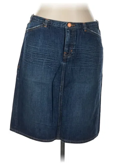 Pre-owned Limited Edition Denim Skirt In Blue