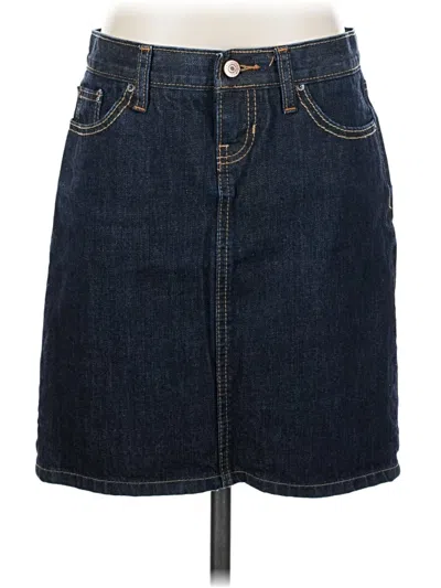 Pre-owned Limited Edition Denim Skirt In Blue