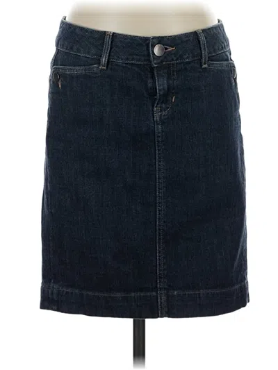 Pre-owned Limited Edition Denim Skirt In Blue