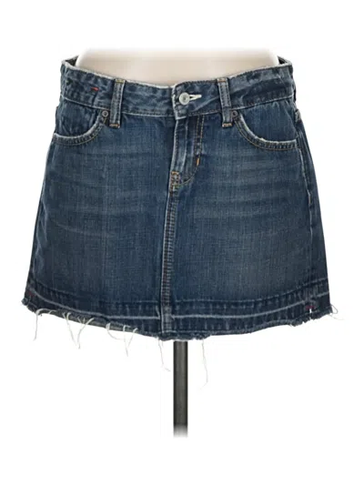 Pre-owned Limited Edition Denim Skirt In Blue