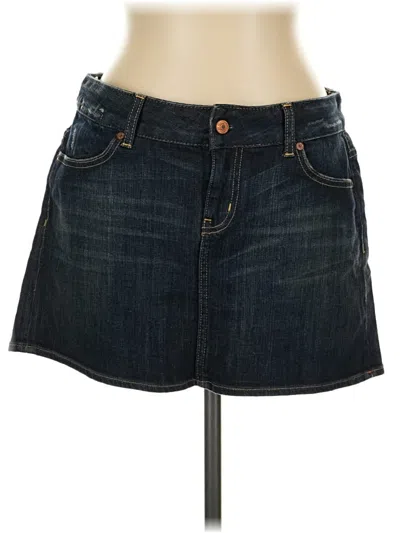 Pre-owned Limited Edition Denim Skirt In Blue