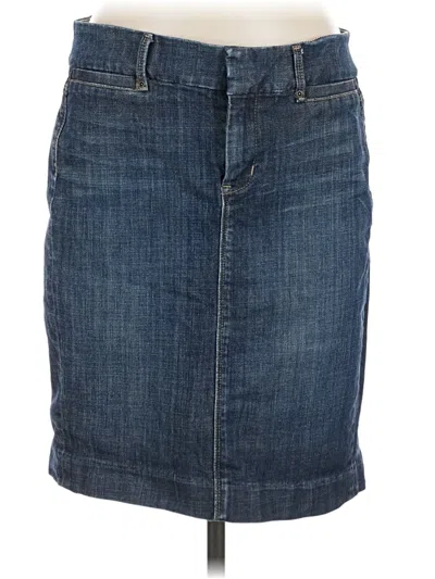 Pre-owned Limited Edition Denim Skirt In Blue