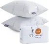 Lincove Down & Feather Bed Pillows - Luxury Hotel Collection, 100% Cotton, 600 Thread Count, Made In Usa - 2