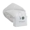 Lincove Down Comforter - Duvet, 600 Thread Count, 100% Cotton Sateen, Corner Loops