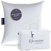 Lincove Throw Pillow Insert - Canadian-made, 100% Cotton, Down-alternative, Hypoallergenic - Decor Pillow, 2