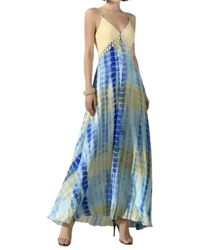 Linda Charm Maxi Dress In Multi